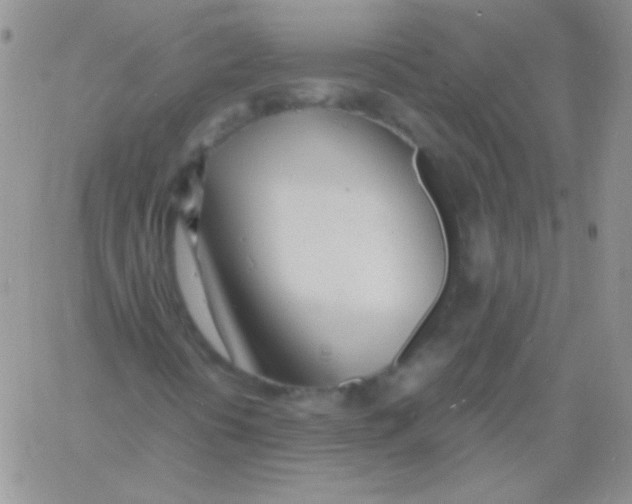 X0000060751394200512081931