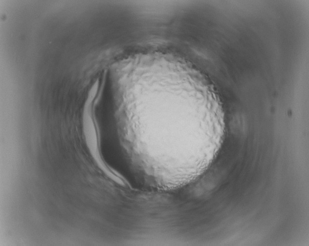 X0000060751397200512081931