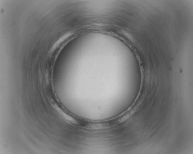 X0000060751402200512081931