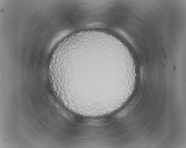 X0000060751405200512081931
