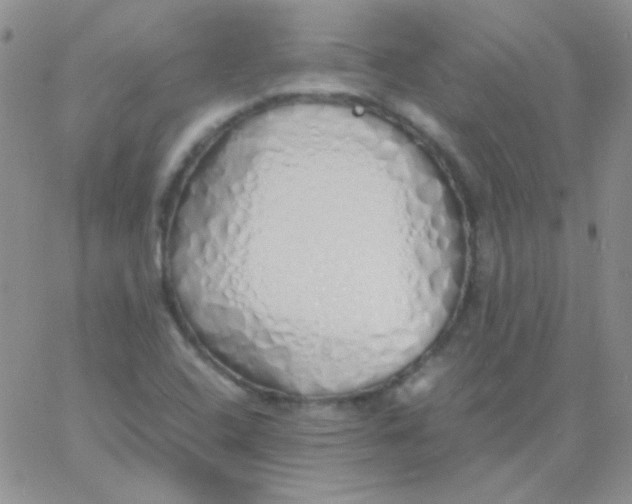 X0000060751408200512081931
