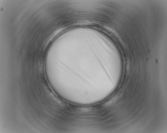 X0000060751409200512081931