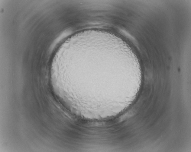 X0000060751411200512081931