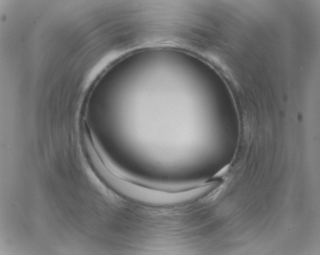 X0000060751422200512081932