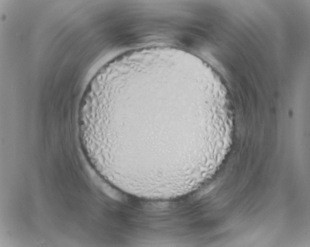 X0000060751431200512081932
