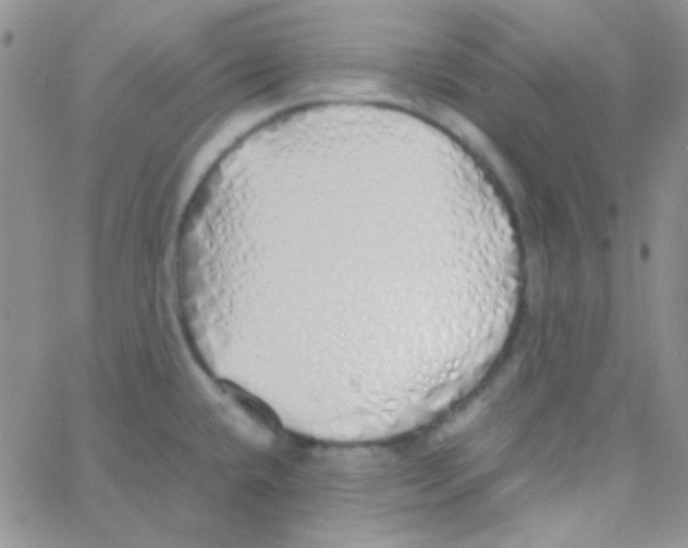X0000060751432200512081932