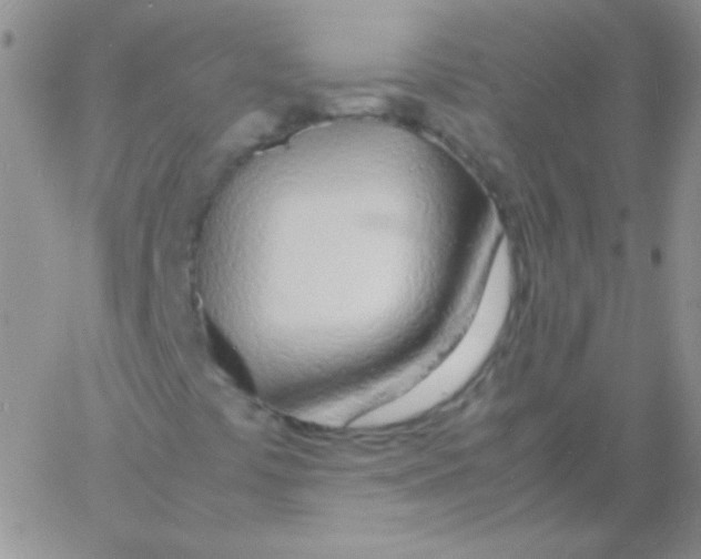 X0000060751441200512081931