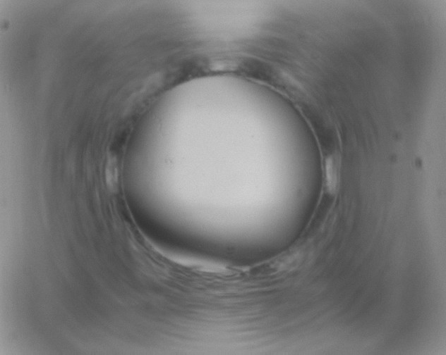 X0000060751443200512081931