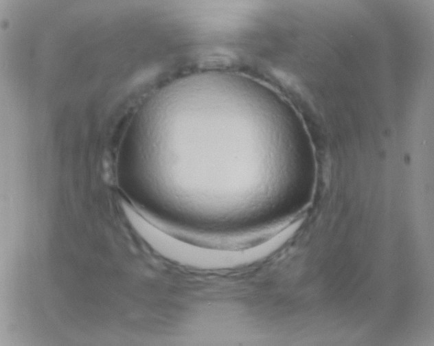 X0000060751445200512081931