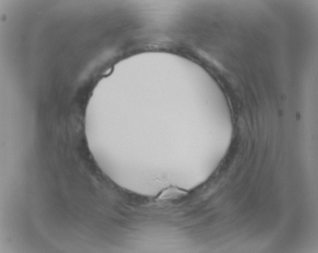 X0000060751447200512081931