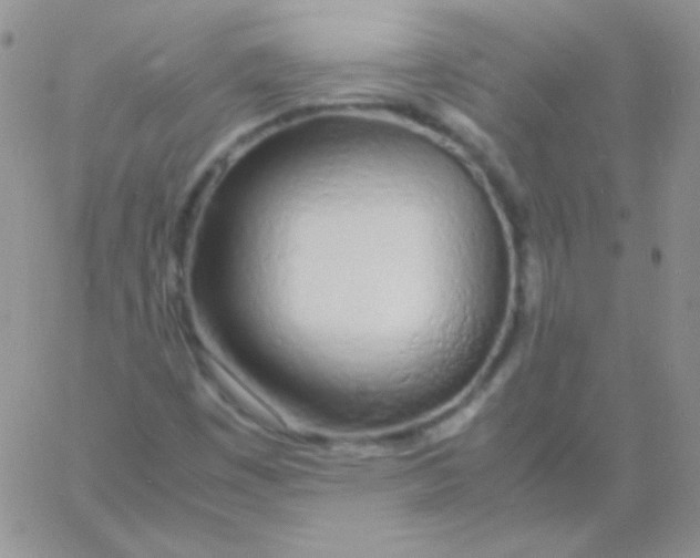 X0000060751449200512081931