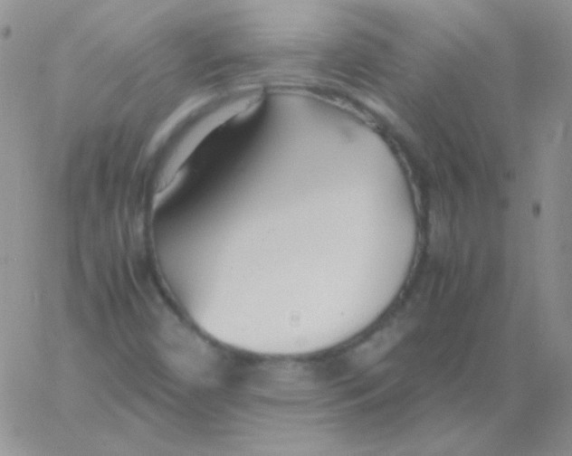 X0000060751450200512081931