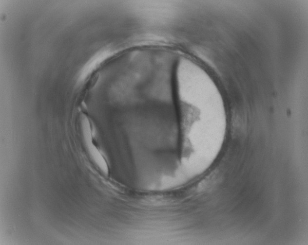 X0000060751455200512081931