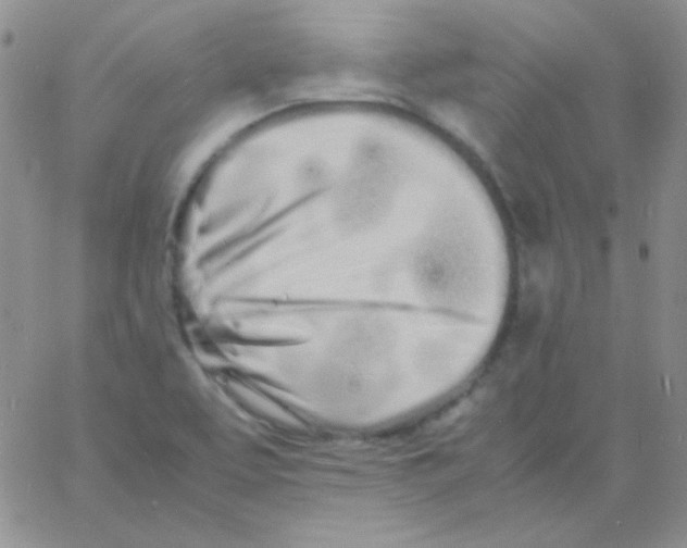 X0000060751463200512081931