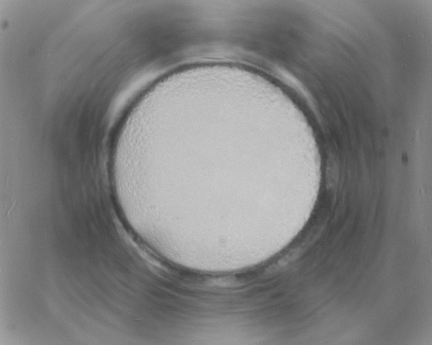 X0000060751464200512081931