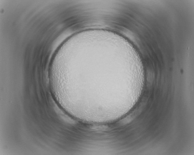 X0000060751466200512081931