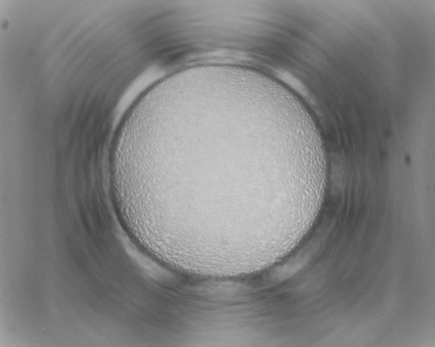 X0000060751474200512081930