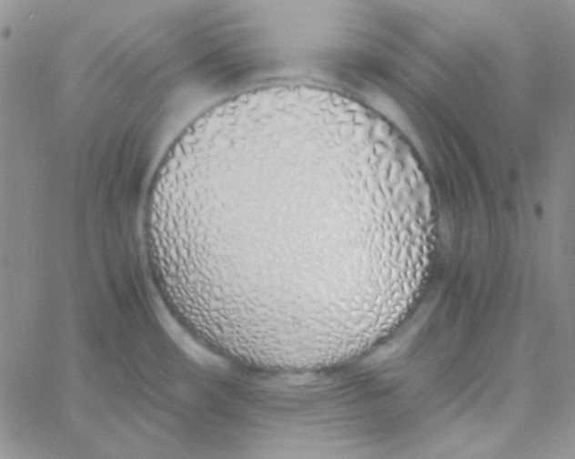 X0000060751482200512081930