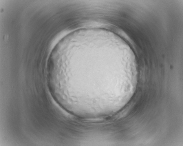 X0000060751487200512081930