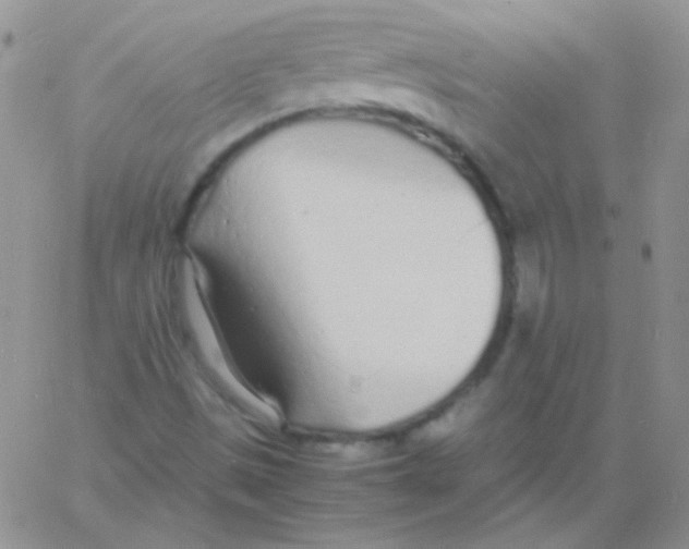 X0000060751497200512081930