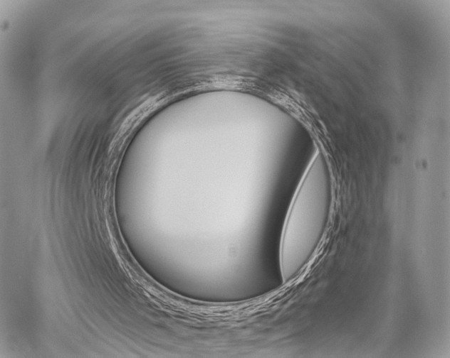 X0000060760001200511100925