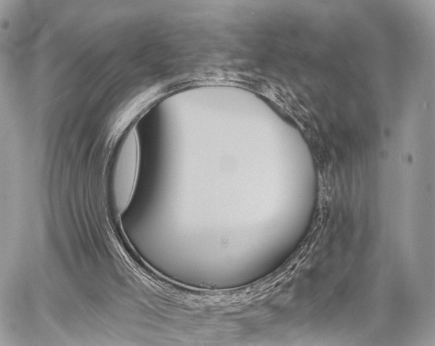 X0000060760005200511100925