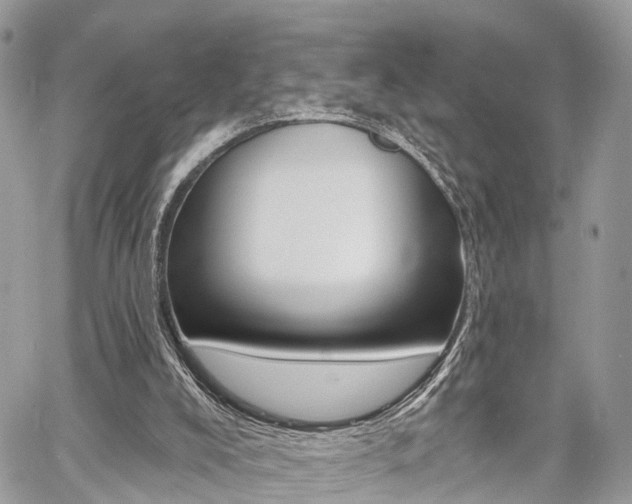 X0000060760008200511100925
