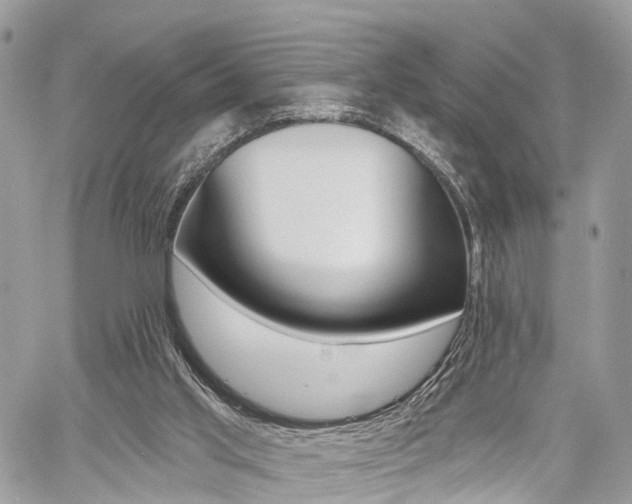 X0000060760013200511100925