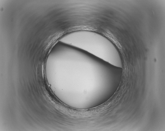 X0000060760014200511100925