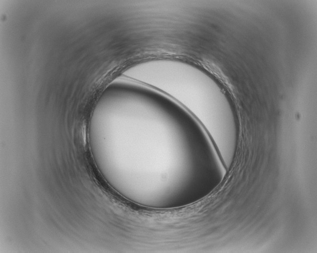 X0000060760021200511100925