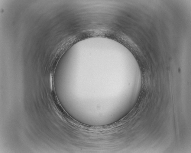X0000060760022200511100925