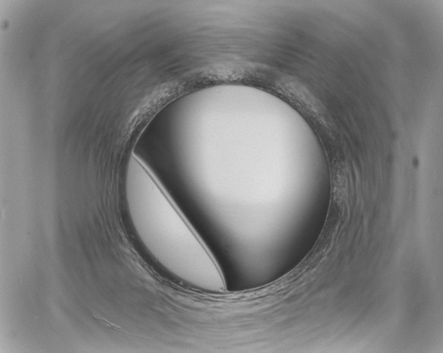 X0000060760023200511100925