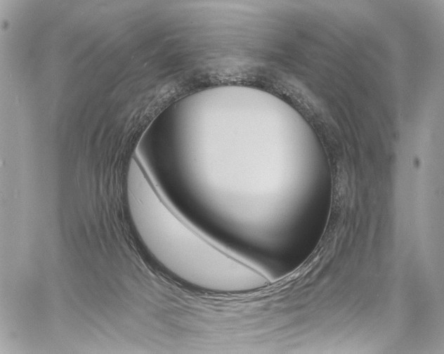 X0000060760025200511100925