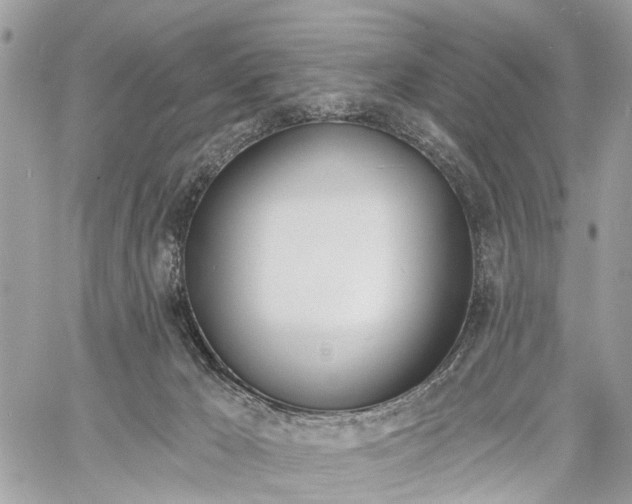 X0000060760029200511100925