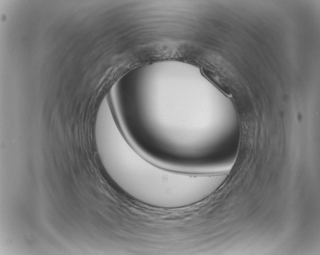 X0000060760035200511100924