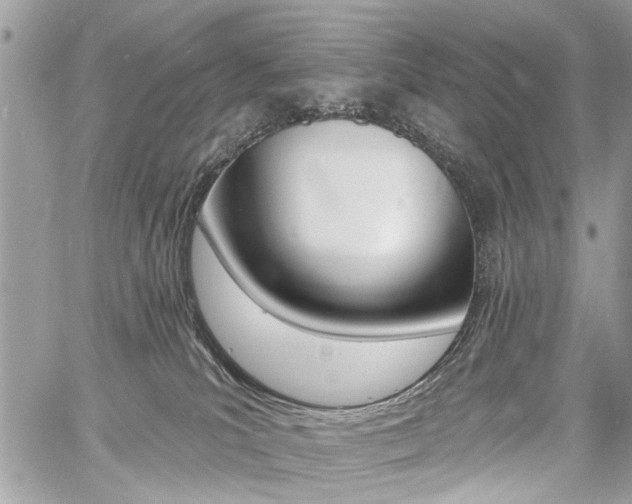 X0000060760039200511100924