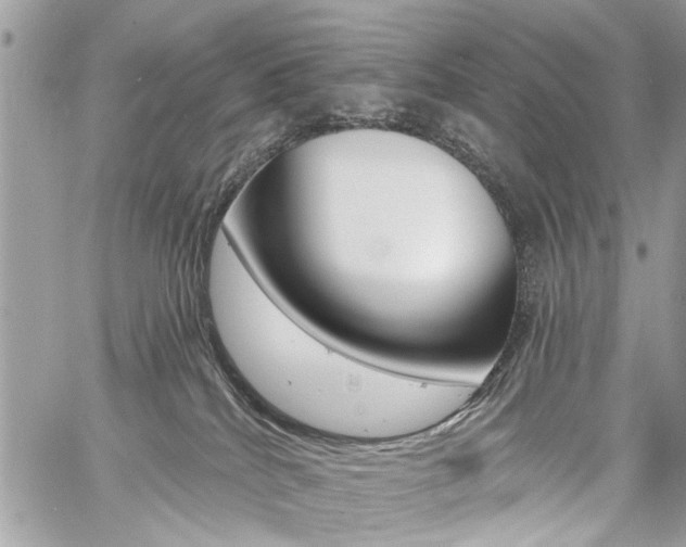 X0000060760040200511100924