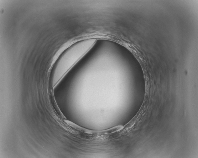X0000060760056200511100924