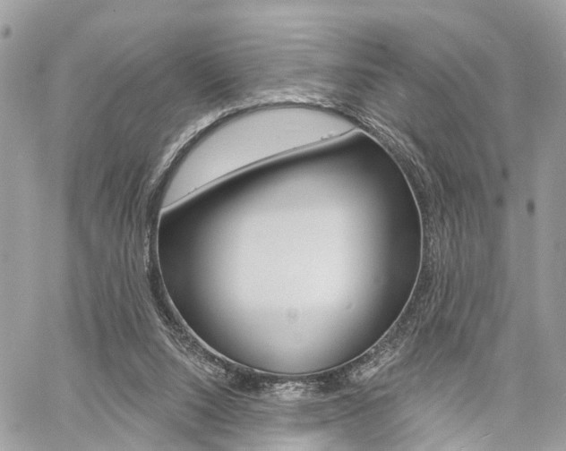 X0000060760064200511100924