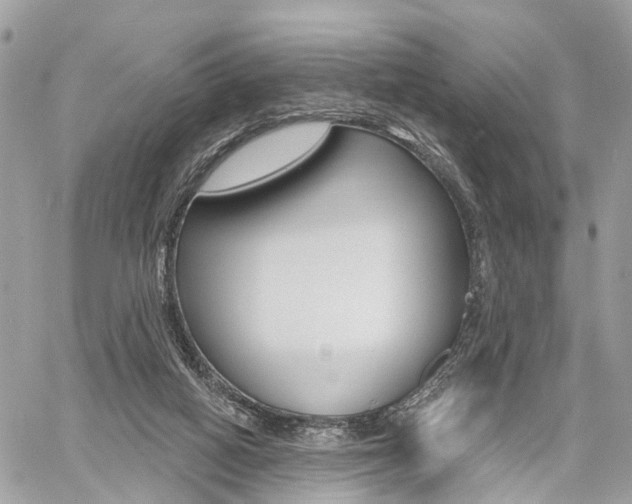 X0000060760066200511100924
