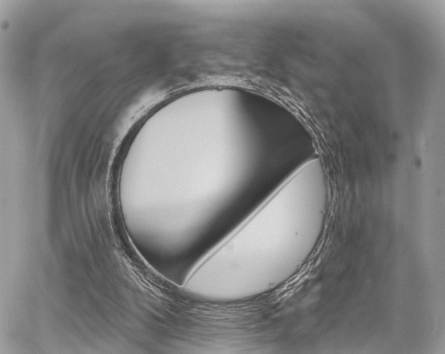 X0000060760104200511100923