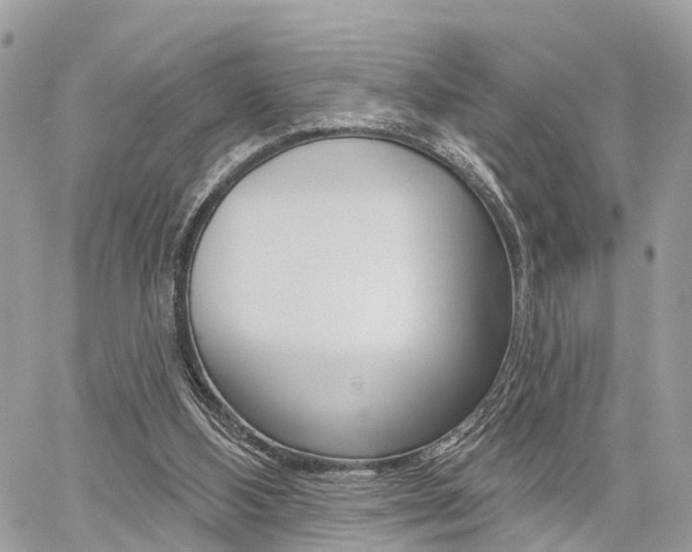 X0000060760108200511100923