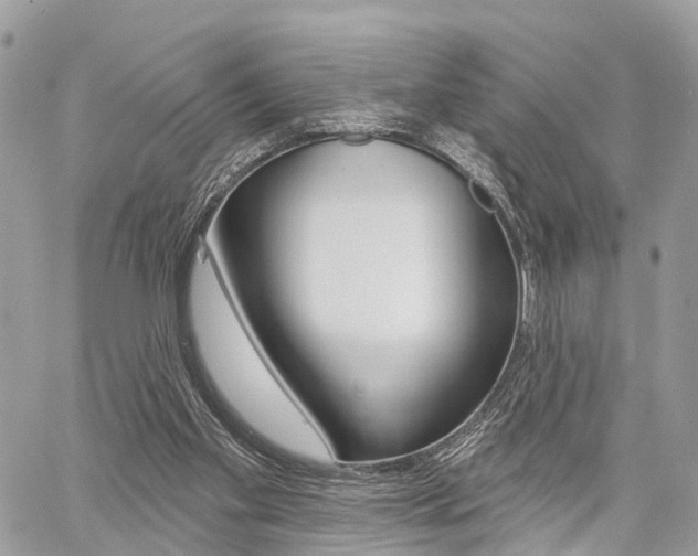 X0000060760109200511100923