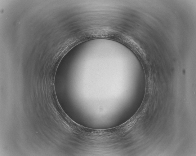X0000060760113200511100923