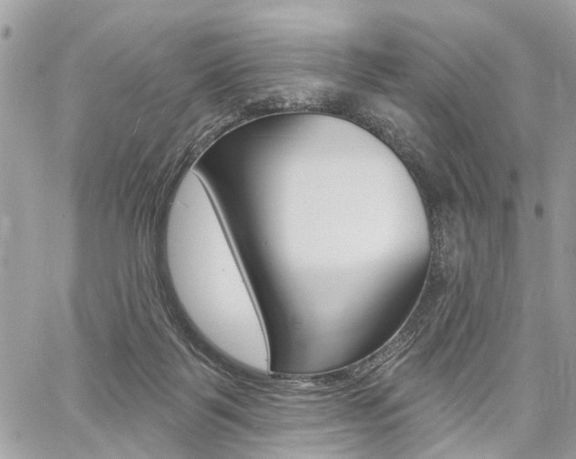 X0000060760123200511100923