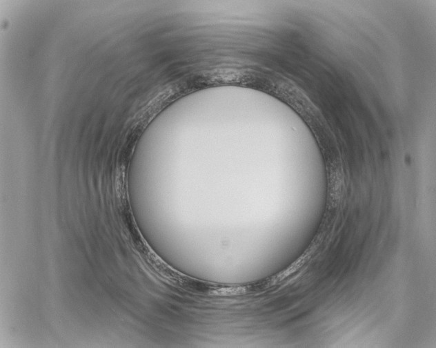 X0000060760126200511100923
