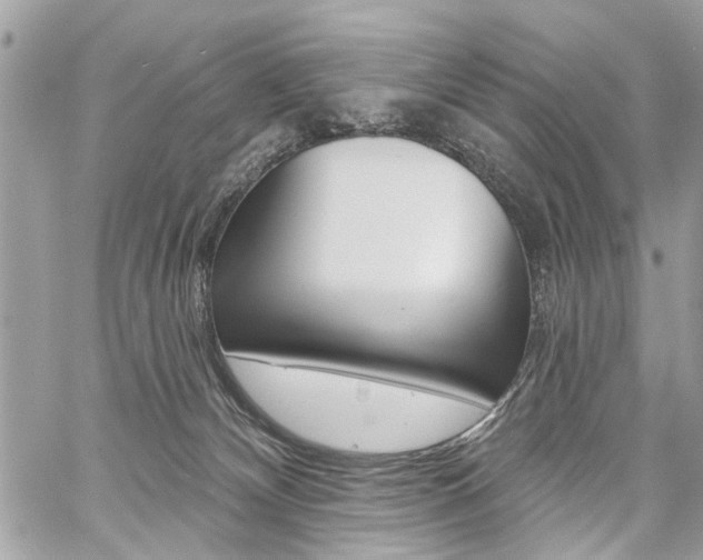 X0000060760132200511100923