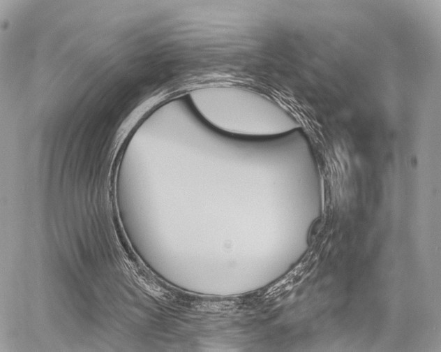 X0000060760147200511100922