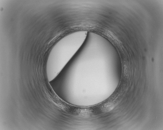 X0000060760165200511100922
