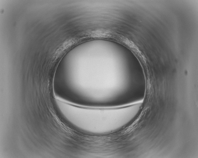 X0000060760201200511100922